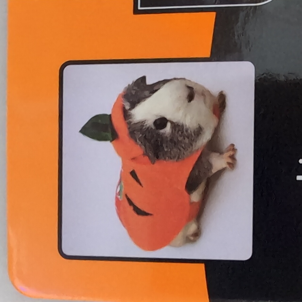 Pumpkin Costume for Guinea Pig